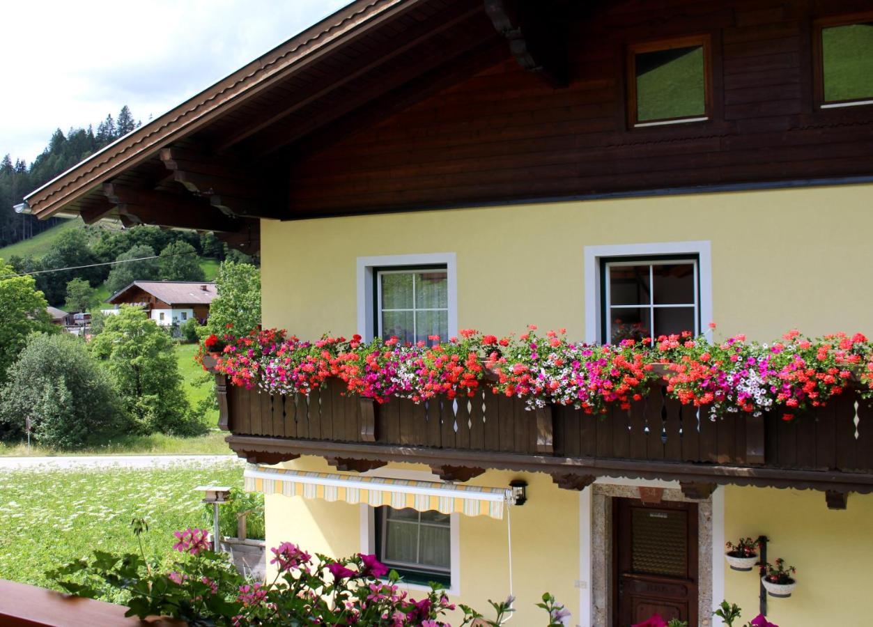 Appartement Gleiminger Forstau  Kültér fotó